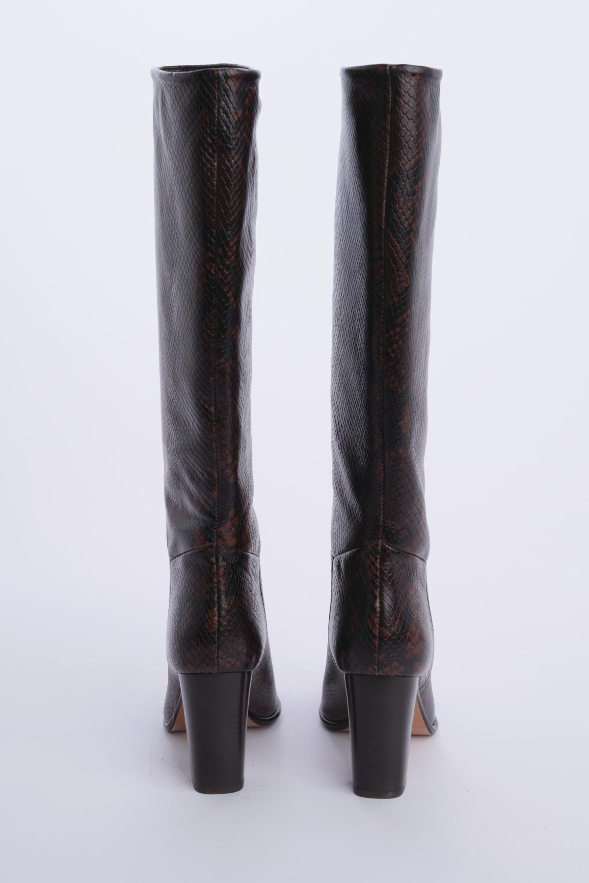CIRYSNAKE PYTHON ba&sh