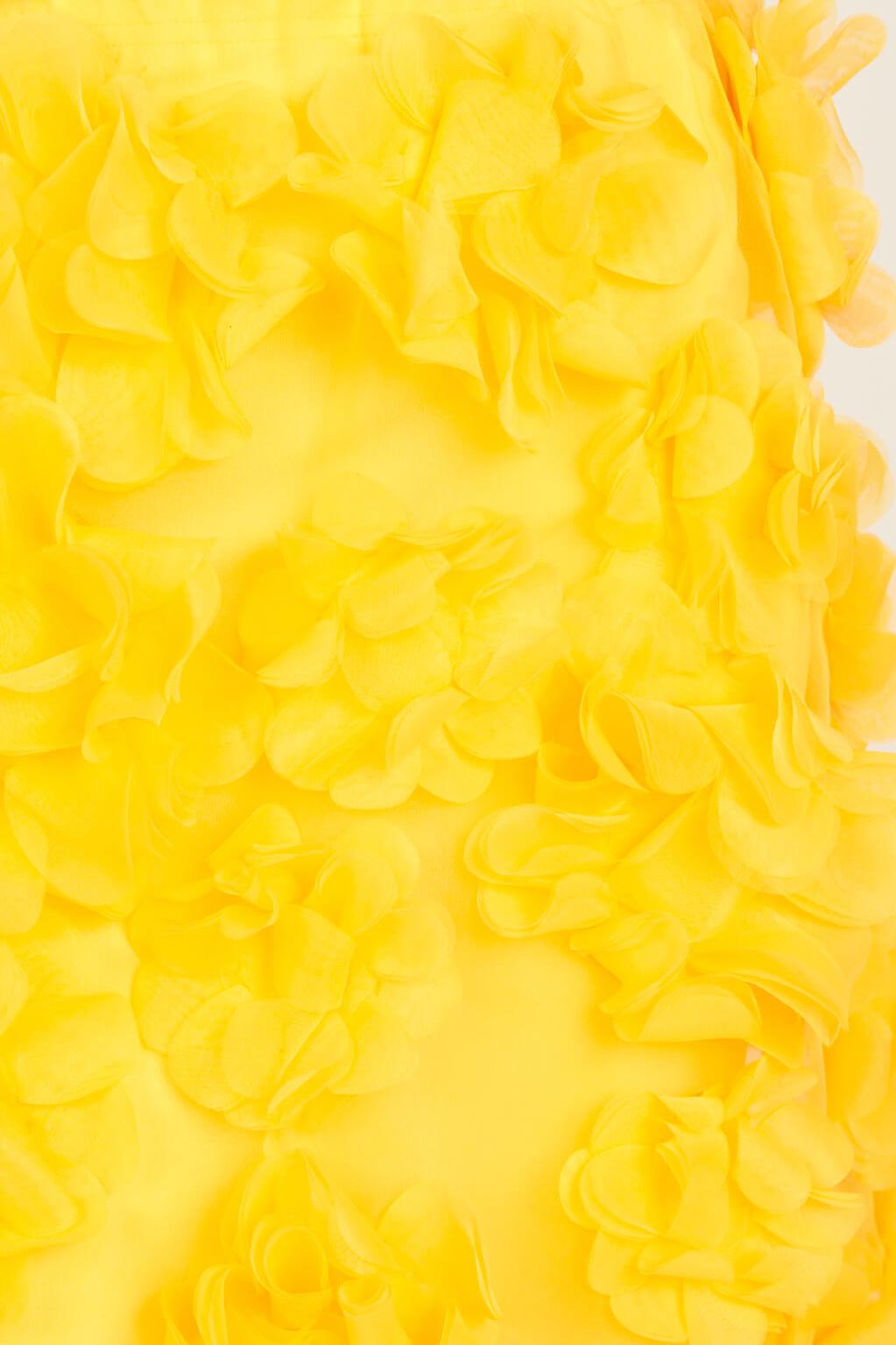 Top Fiori Applicati SS2149 SUNNYYELLOW paskal