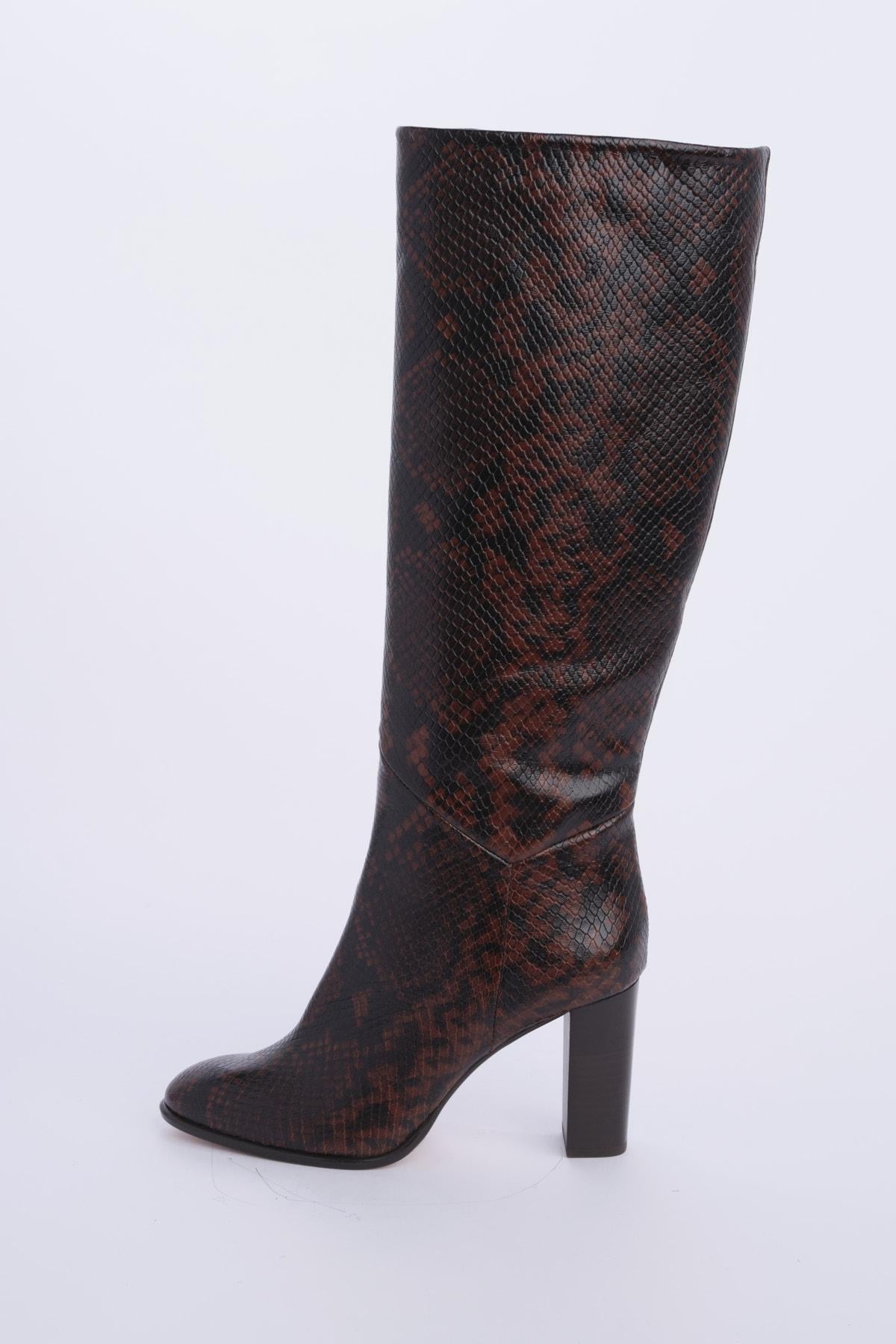 CIRYSNAKE PYTHON ba&sh
