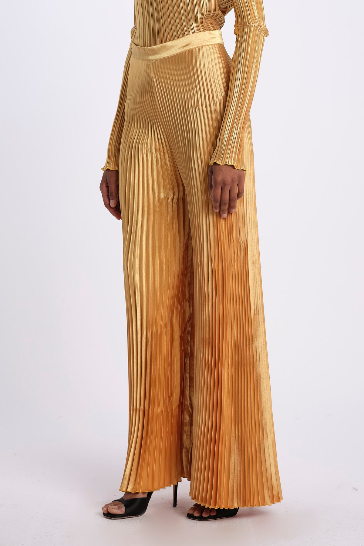  BISOUSP0023 MARIGOLD l'IDEE 