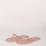 CT38002G.12002 ROSA carlotta ray 