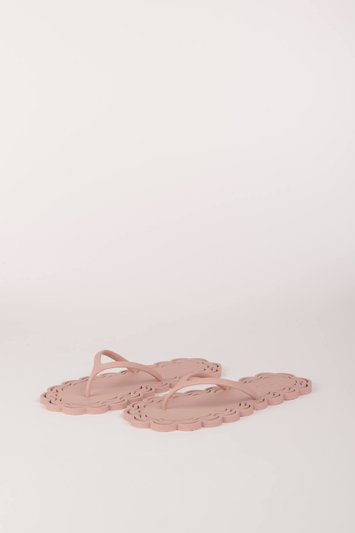  CT38002G.12002 ROSA carlotta ray 