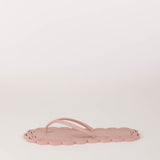  CT38002G.12002 ROSA carlotta ray 