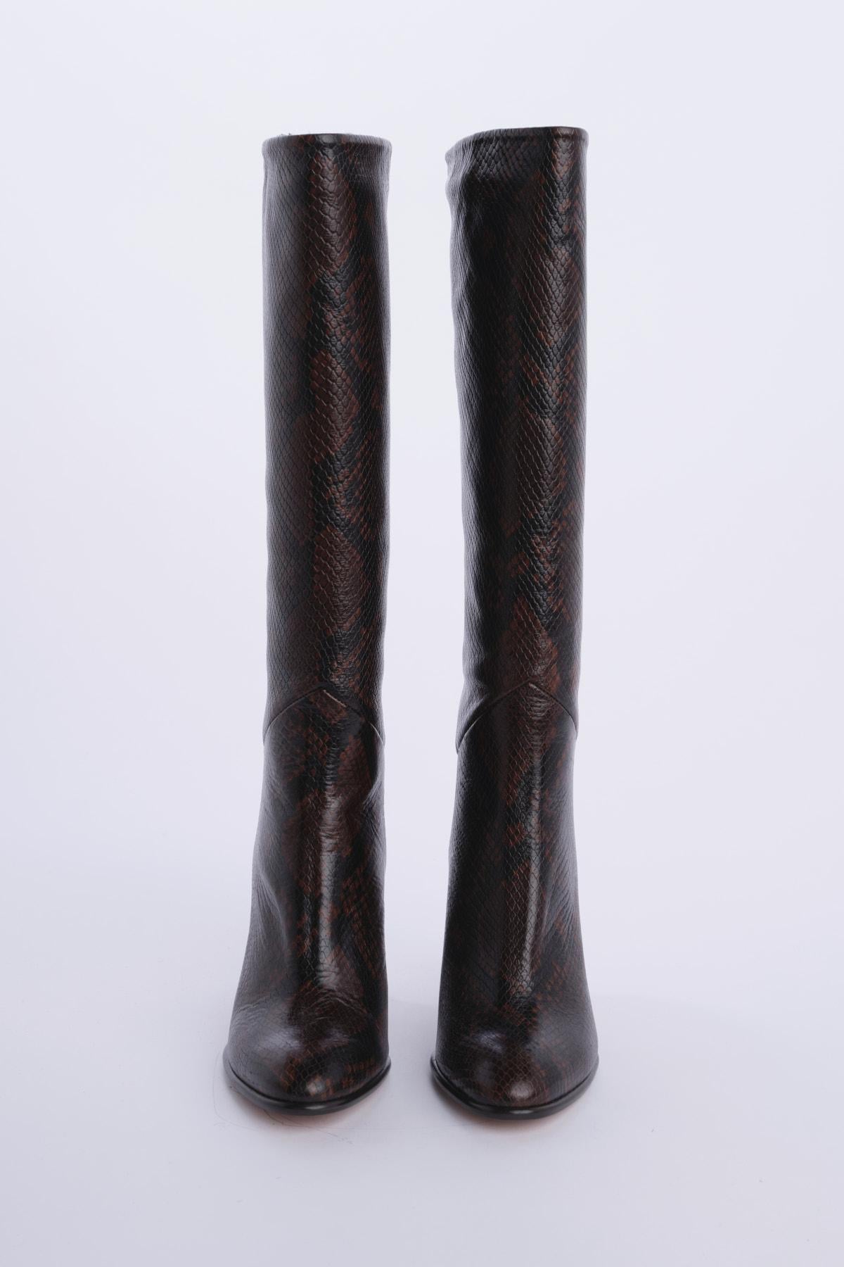  CIRYSNAKE PYTHON ba&sh 