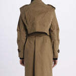  COTTONBELTEDLV23FCT01 K lvir 