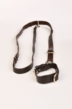 Double leash and collar in dark smooth leather